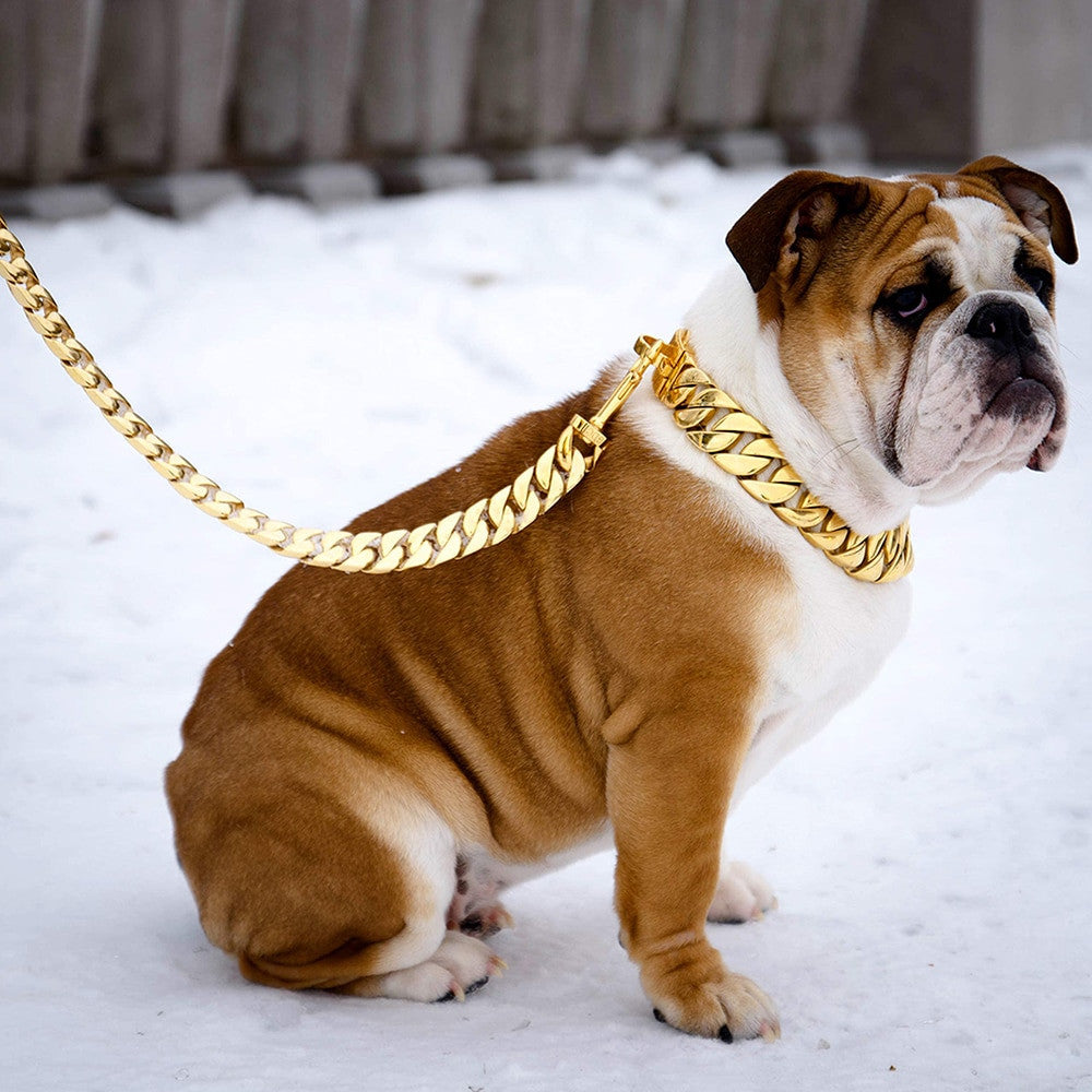 Cuban Link Chain Dogs Leash-3
